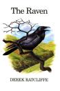 Raven - Preview