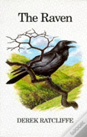 Capa do artigo Raven