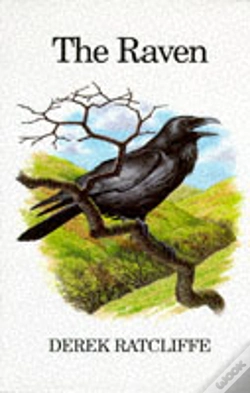 Capa do artigo Raven