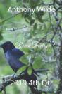 Raven Poetry - Preview