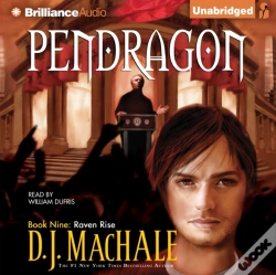 Capa do artigo Raven Rise
