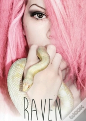 Capa do artigo Raven