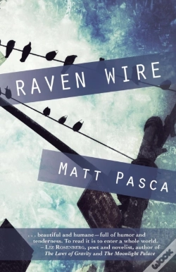 Capa do artigo Raven Wire