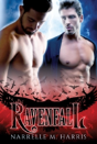 Ravenfall - Preview