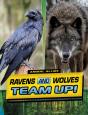 Ravens And Wolves Team Up! - Preview