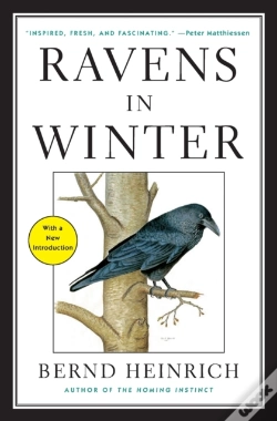 Capa do artigo Ravens In Winter