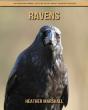 Ravens - Preview