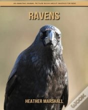 Capa do artigo Ravens