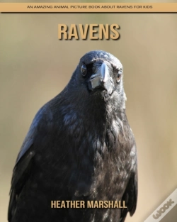 Capa do artigo Ravens