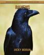 Ravens - Preview