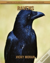 Capa do artigo Ravens