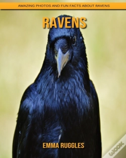 Capa do artigo Ravens