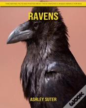 Capa do artigo Ravens