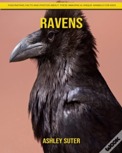 Capa do artigo Ravens
