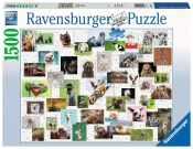 Capa do artigo Ravensburger Puzzle - Funny Animals Collage - 1500pc
