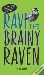 Ravi The Brainy Raven