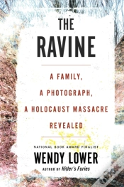 Capa do artigo Ravine