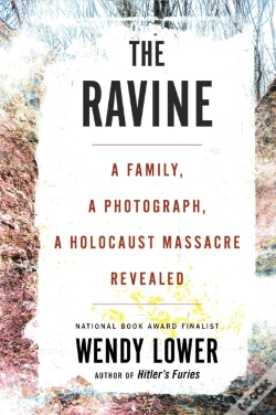 Capa do artigo Ravine