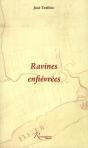 Ravines Enfievrees - Preview
