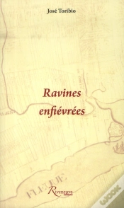 Capa do artigo Ravines Enfievrees
