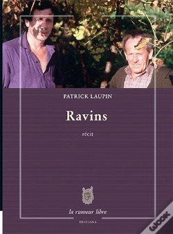 Capa do artigo Ravins