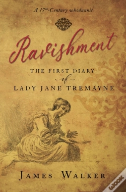 Capa do artigo Ravishment