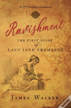 Capa do artigo Ravishment