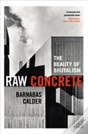 Capa do artigo Raw Concrete