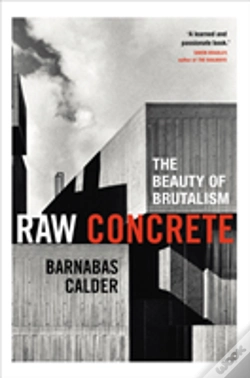 Capa do artigo Raw Concrete