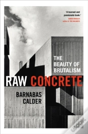 Capa do artigo Raw Concrete