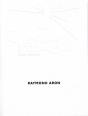 Raymond Aron - Preview