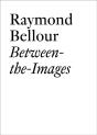 Raymond Bellour - Preview