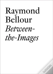 Capa do artigo Raymond Bellour