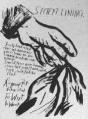 Raymond Pettibon - To Wit - Preview