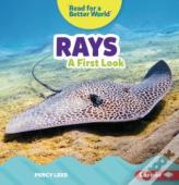 Rays