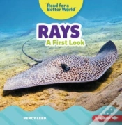 Capa do artigo Rays