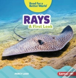 Capa do artigo Rays