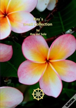 Capa do artigo Ray'S Small Collection
