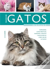 Razas De Gatos De La A A La Z  