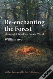 Re-Enchanting The Forest