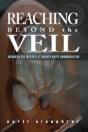 Reaching Beyond The Veil - Preview