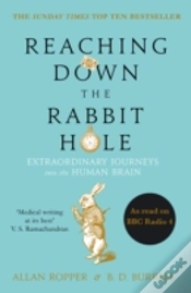 Capa do artigo Reaching Down The Rabbit Hole