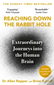 Capa do artigo Reaching Down The Rabbit Hole