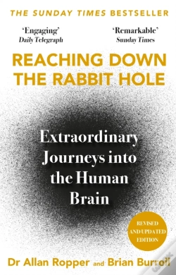Capa do artigo Reaching Down The Rabbit Hole