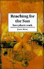 Reaching For The Sun - Preview