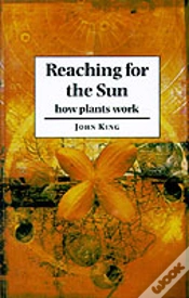 Capa do artigo Reaching For The Sun