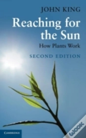 Capa do artigo Reaching For The Sun