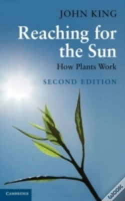 Capa do artigo Reaching For The Sun