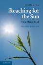 Reaching For The Sun - Preview