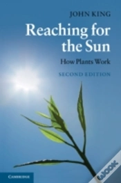 Capa do artigo Reaching For The Sun